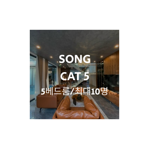 Group 1000004929.png